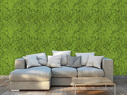 Decorative Glass Film