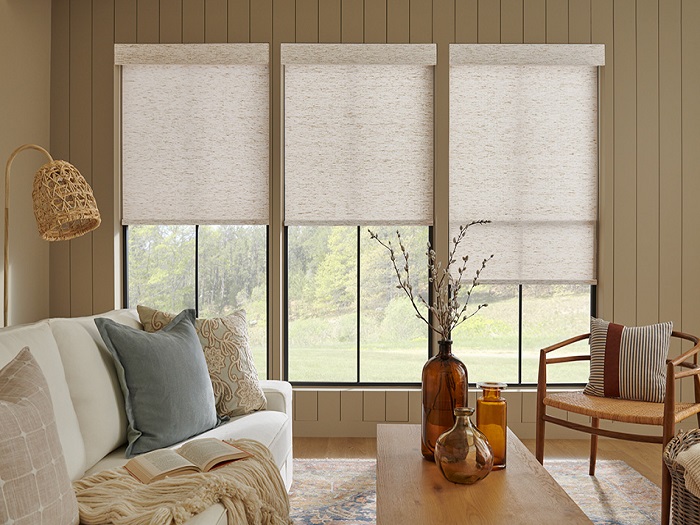 Window Blinds