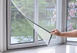 Curtains